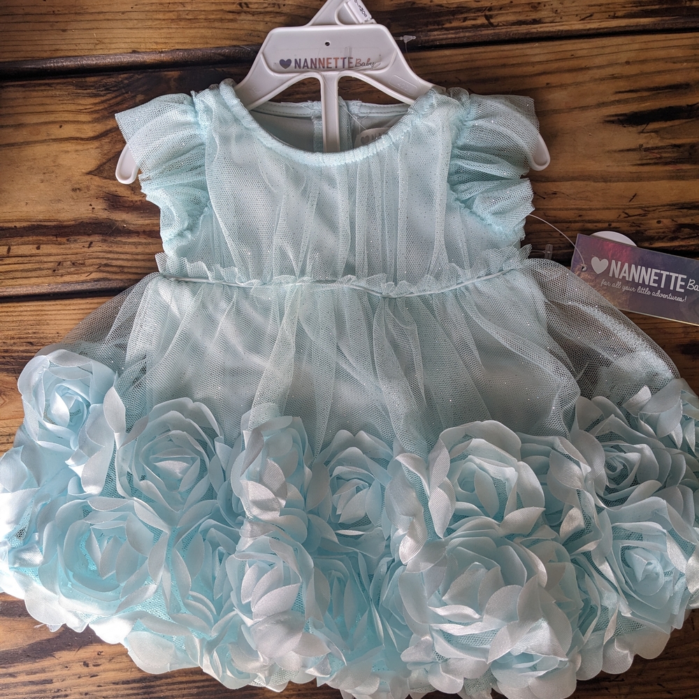 Nannette Baby Blue Dress with Floral Accents